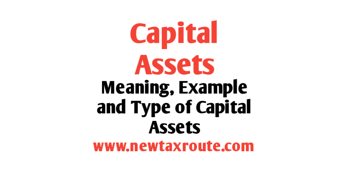 Meaning of Capital Assets